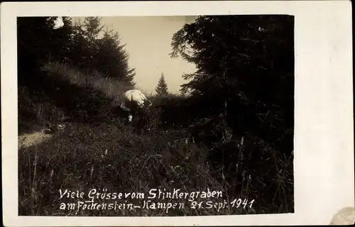 Foto Ak Bad Wiessee in Oberbayern, Grüße vom Stinkergraben am Fockenstein, Kampen 1941