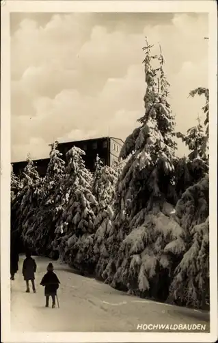 Ak Oybin in der Oberlausitz, Hochwaldbauden, Winterwald