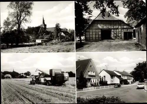 Ak Himbergen in der Lüneburger Heide, Straßenpartie, Bauernhaus, Feld