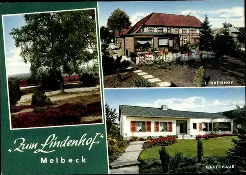 Ak Melbeck in der Lüneburger Heide, Gästehaus "Zum Lindenhof"