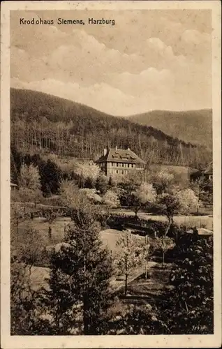 Ak Bad Harzburg am Harz, Krodohaus Siemens, Wald