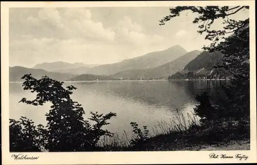 Ak Walchensee Kochel am See, Blick auf den See mit Bergen im Hintergrund