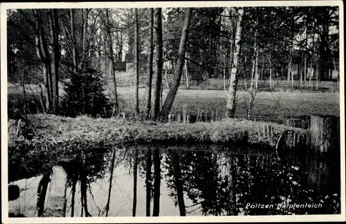 Ak Poitzen Faßberg, Karpfenteich