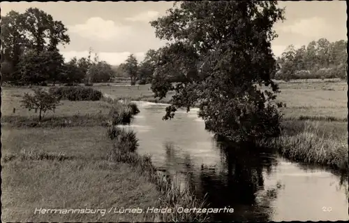 Ak Hermannsburg Südheide in der Lüneburger Heide, Oertzepartie