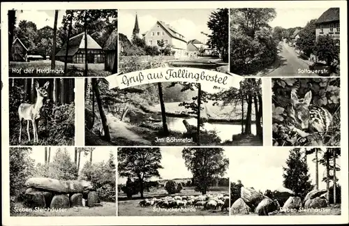 Ak Bad Fallingbostel Lüneburger Heide, Sieben Steinhäuser, Hof d. Heidmark, Reh, Rehkitz, Schnucken
