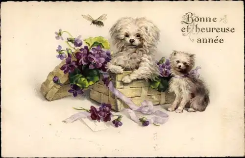 Ak Glückwunsch Neujahr, Bonne et heureuse année, Zwei Hunde, Blumenkorb, Veilchen