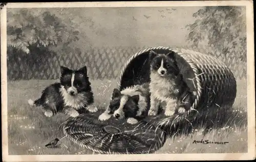 Künstler Ak Scrivener, Maude, Hundewelpen, Junge Hunde, Korb, Vogel