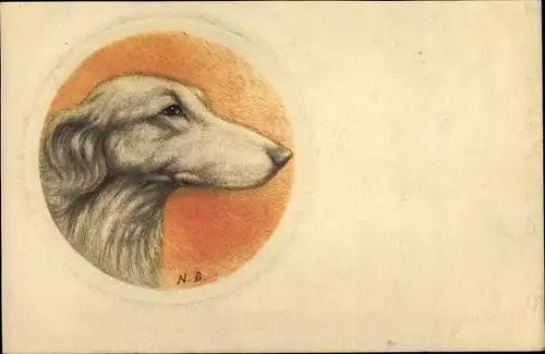 Künstler Ak Windhund, Hundeportrait