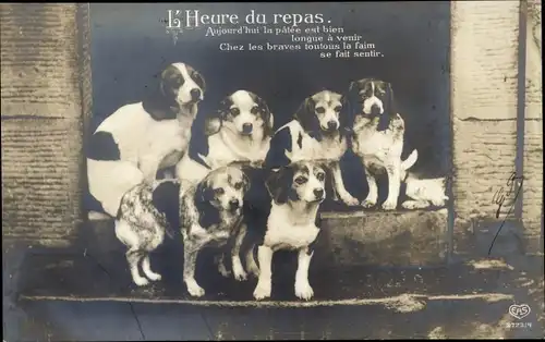 Ak L'Heure du repas, Hunde