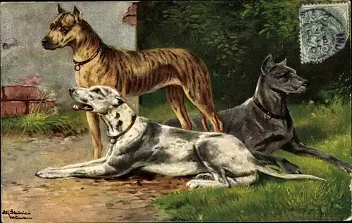 Künstler Ak Schönian, Alfred, Drei Doggen, liegend und stehend, verschiedene Fellfarben