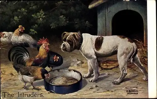 Künstler Ak Dorno, E., The Intruders, Hund vor der Hundehütte, Hahn, Hühner