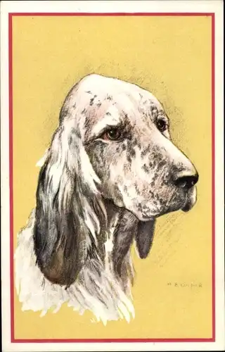 Künstler Ak Cooper, M. B., Hundeportrait, Hund