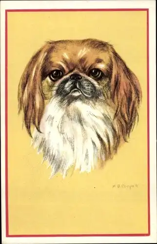 Künstler Ak Cooper, M. B., Tierportrait, Hundeportrait, Pekingese