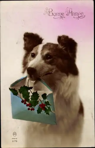 Ak Glückwunsch Neujahr, Bonne Annee, Hund mit Briefumschlag, Stechpalmenzweige, Collie