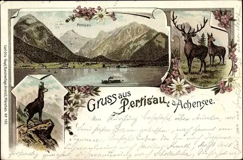 Litho Pertisau am Achensee Tirol Österreich, Panorama, Hirsch, Gemse