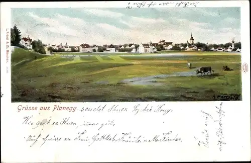 Künstler Ak Paetzold, Planegg Oberbayern, Totalansicht der Ortschaft
