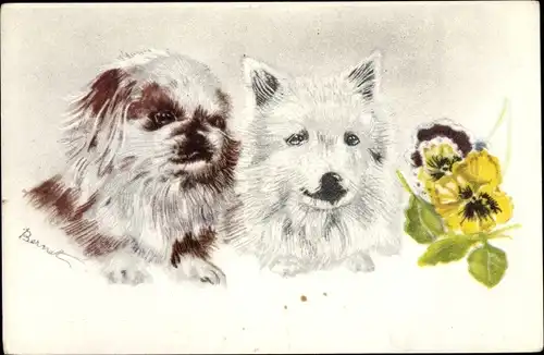 Künstler Ak Zwei Hunde, Pekingese, Stiefmütterchen