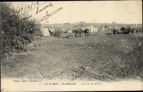 Ak El Graar Marokko, Une vue du Camp, Blick auf das Zeltlager, Pferde