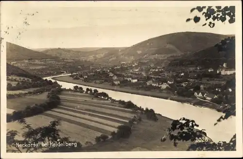 Ak Heidelberg am Neckar, Neckartal