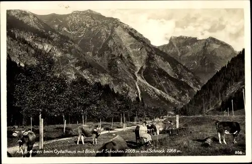 Ak Oberstdorf im Oberallgäu, Am Brunnen beim Oytalhaus, Kuhweide, Schochen, Schneck