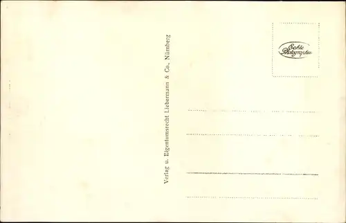 Ak Nürnberg in Mittelfranken, Panorama vom Hallertor