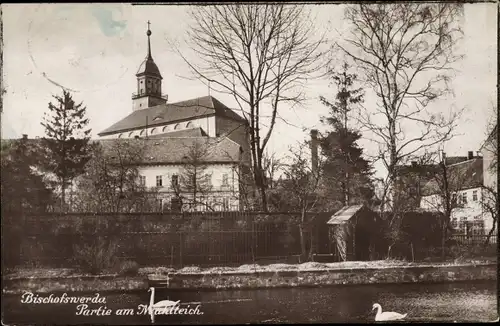 Ak Bischofswerda im Kreis Bautzen, Partie am Mühlteich, Schwäne, Kirche