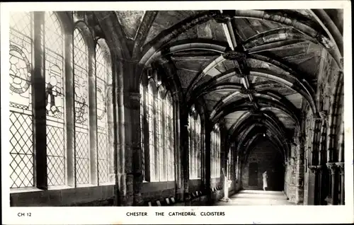 Ak Chester Cheshire England, The Cathedral Cloisters