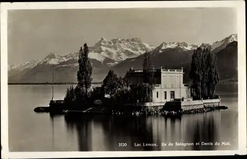 Ak Montreux Kanton Waadt Schweiz, Île de Salagnon, Lac Léman, Dents du Midi