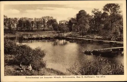 Ak Grünewalde Schönebeck an der Elbe, Schwimmbad am braunen Hirsch