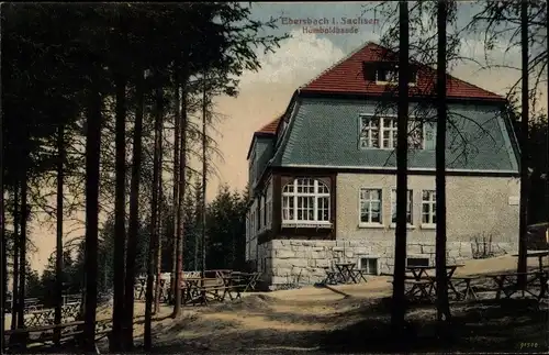 Ak Ebersbach Neugersdorf, Blick auf die Humboldbaude, Wald, Terrasse