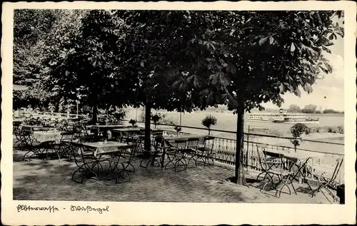 Ak Wussegel Hitzacker an der Elbe, Café-Restaurant Elbterrasse