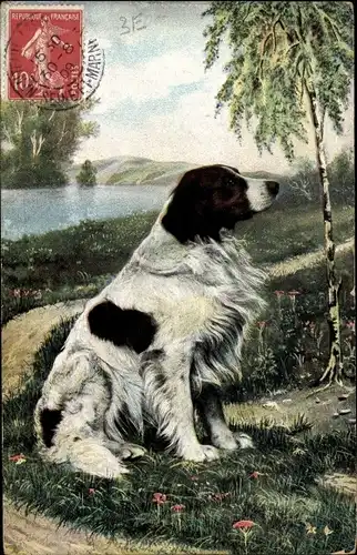 Ak Sitzender Hund, Portrait, Landschaft