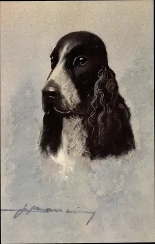 Künstler Ak Spaniel, Hundeportrait