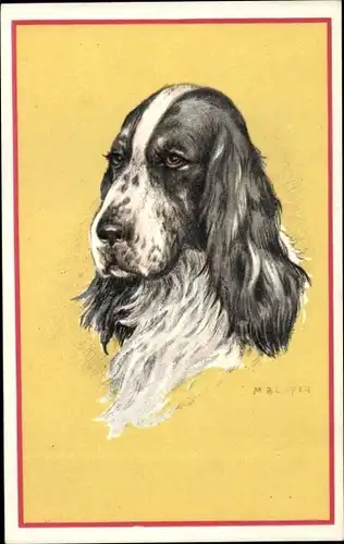 Künstler Ak Cooper, M. B., Cocker Spaniel, Hundeportrait