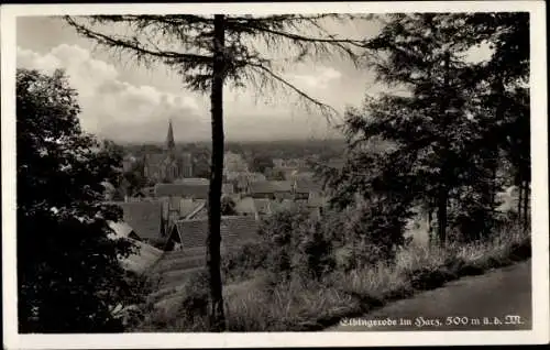 Ak Elbingerode Oberharz am Brocken, Teilansicht der Ortschaft