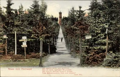 Ak Oybin in der Oberlausitz, Zittauer Gebirge, Hochwald, Aussichtsturm, Weg