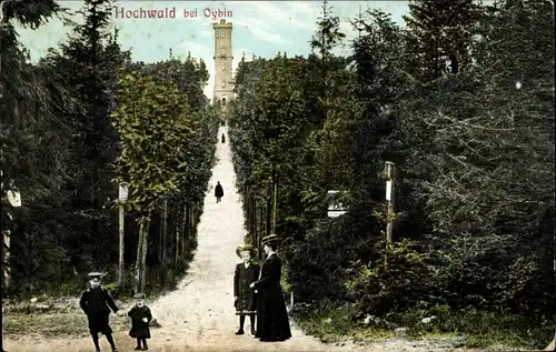 Ak Oybin in der Oberlausitz, Zittauer Gebirge, Hochwald, Aussichtsturm, Weg