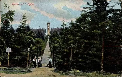 Ak Oybin in der Oberlausitz, Zittauer Gebirge, Hochwald, Aussichtsturm, Weg