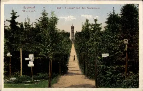 Ak Oybin in der Oberlausitz, Zittauer Gebirge, Hochwald, Aussichtsturm, Weg