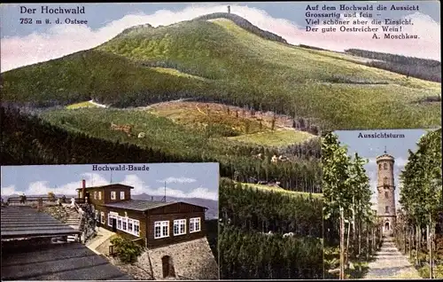 Ak Oybin in der Oberlausitz, Zittauer Gebirge, Hochwald Baude, Aussichtsturm