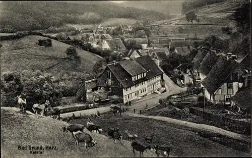 Ak Bad Grund im Harz, Teilansicht