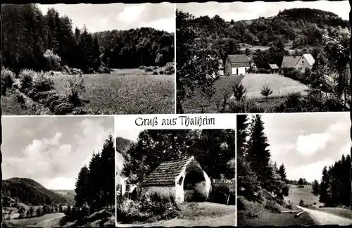 Ak Thalheim Happurg in Mittelfranken, Teilansichten, Frankenalb, Wald, Haus