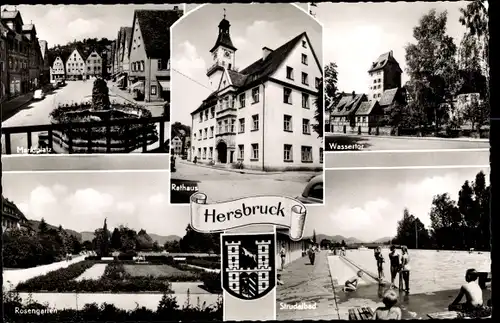 Ak Hersbruck in Mittelfranken, Rathaus, Wassertor, Strudelbad, Rosengarten, Marktplatz, Wappen