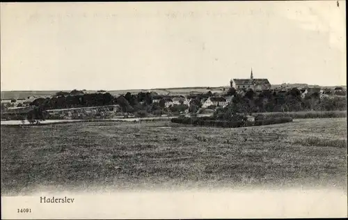 Ak Haderslev Hadersleben Dänemark, Panorama