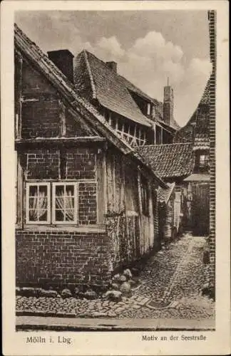 Ak Mölln im Herzogtum Lauenburg, Seestraße