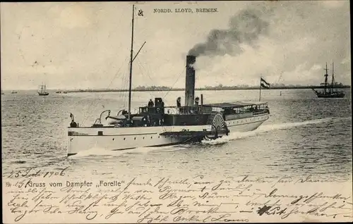 Ak Dampfer Forelle, Norddeutscher Lloyd Bremen