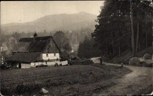 Ak Oybin in Sachsen, am Waldrand, Hor, Weg, Hochwald