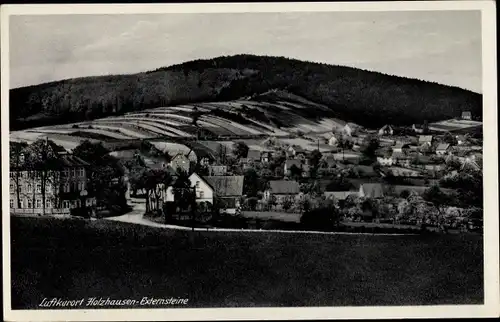 Ak Holzhausen Externsteine Horn Bad Meinberg am Teutoburger Wald, Total