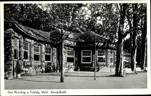 Ak Bad Meinberg am Teutoburger Wald, Wandelhalle