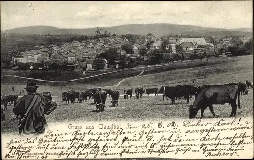 Ak Clausthal Zellerfeld im Oberharz, Gesamtansicht, Rinder